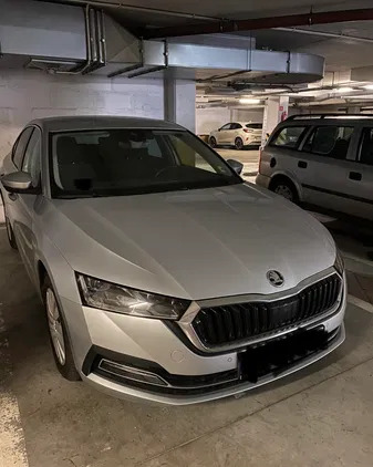 samochody osobowe Skoda Octavia cena 116000 przebieg: 50955, rok produkcji 2020 z Łódź